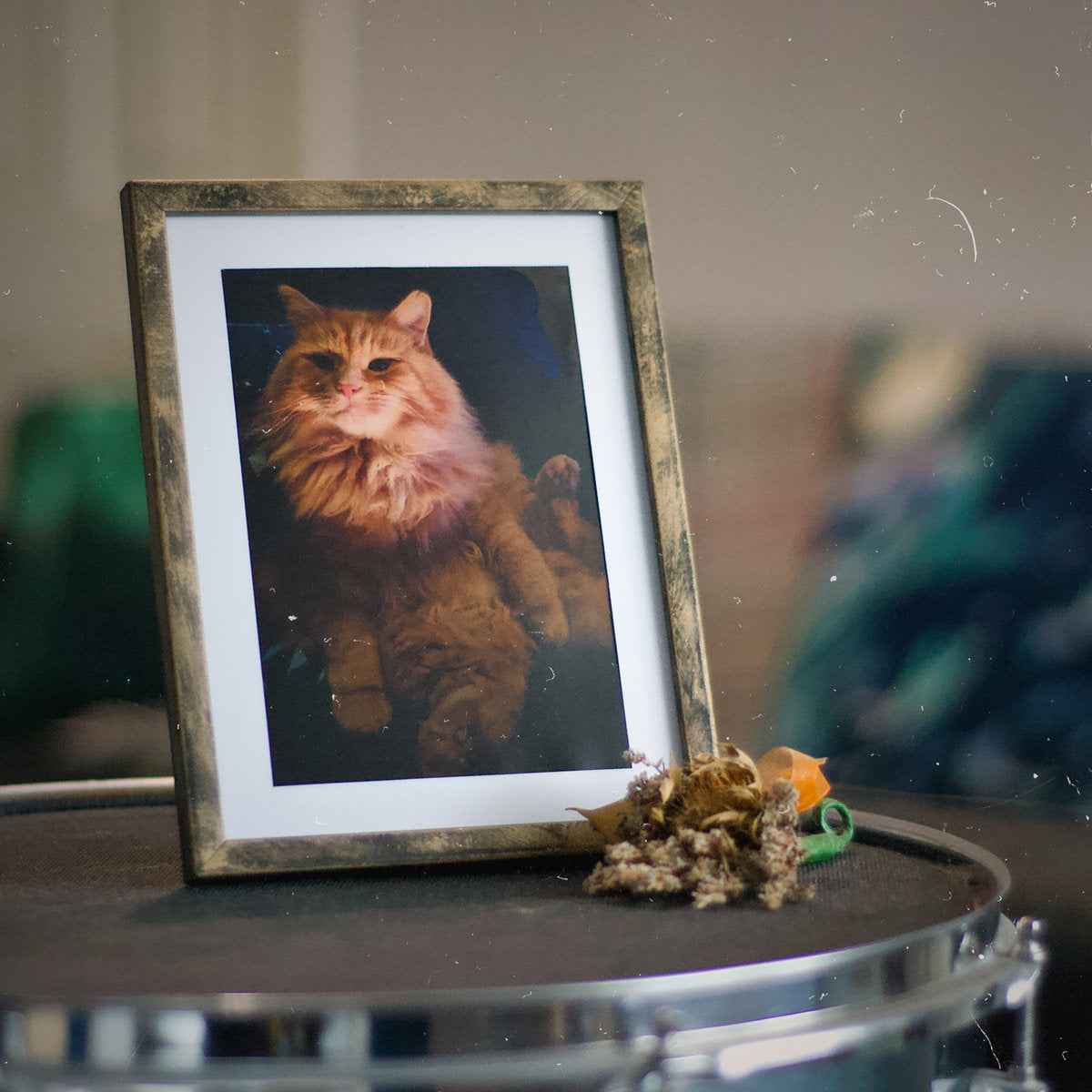 PaperSailor | I Prefer the Early Stuff Vinyl - LIMITED EDITION