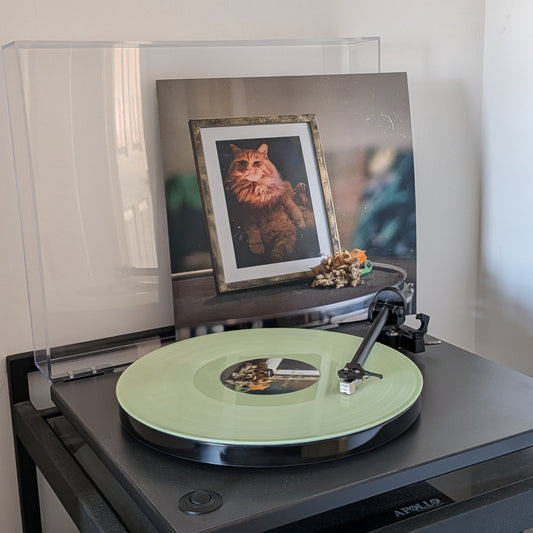 PaperSailor | I Prefer the Early Stuff Vinyl - LIMITED EDITION